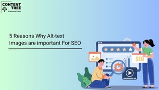 5 Reasons Why Alt-text Images are Important for SEO